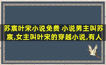 苏宸叶宋小说免费 小说男主叫苏宸,*叫叶宋的穿越小说,有人知道没么